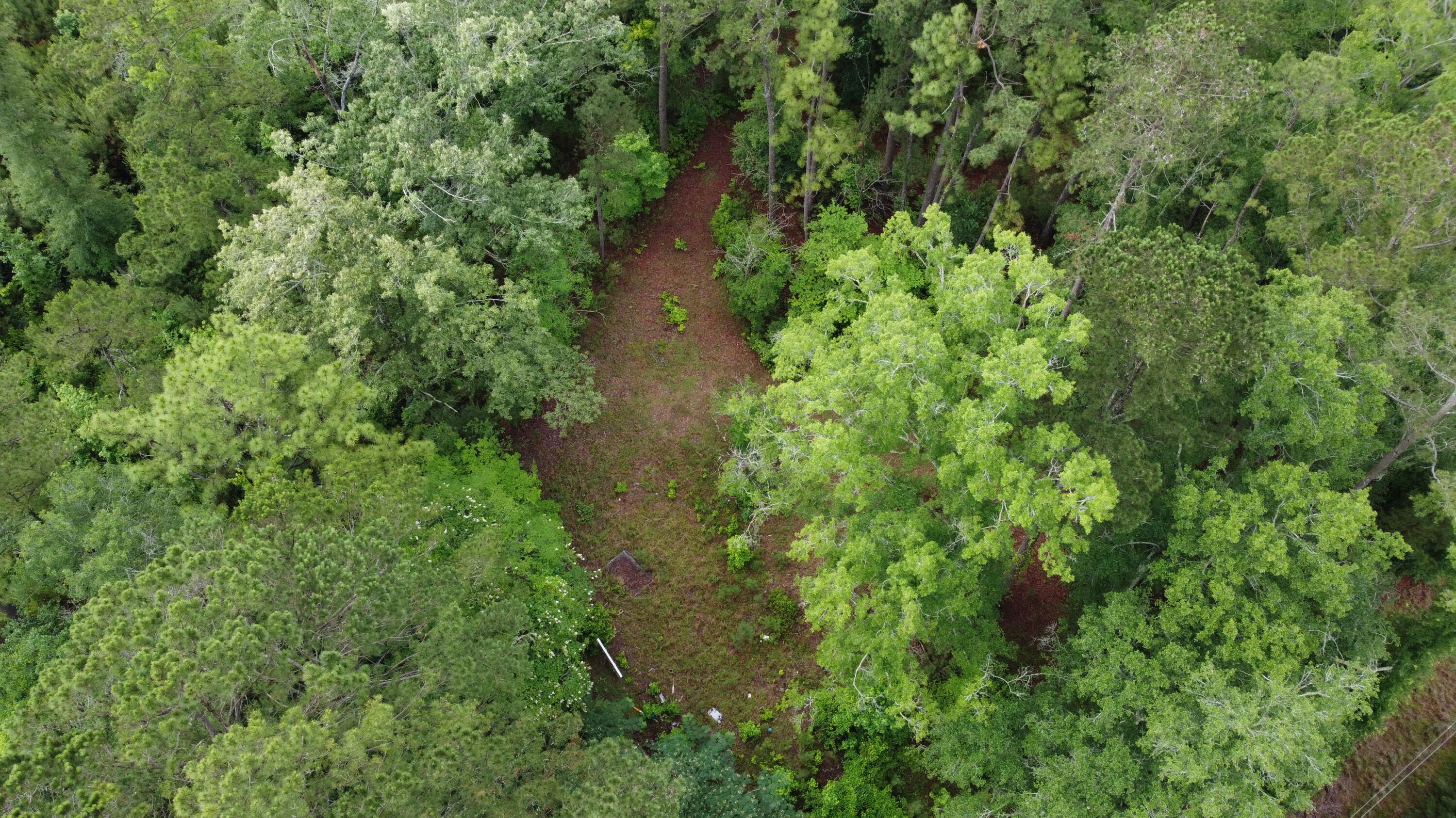 126 Batten Way Ridgeville, SC 29472 - Photo 19 of 25 DJI_0521