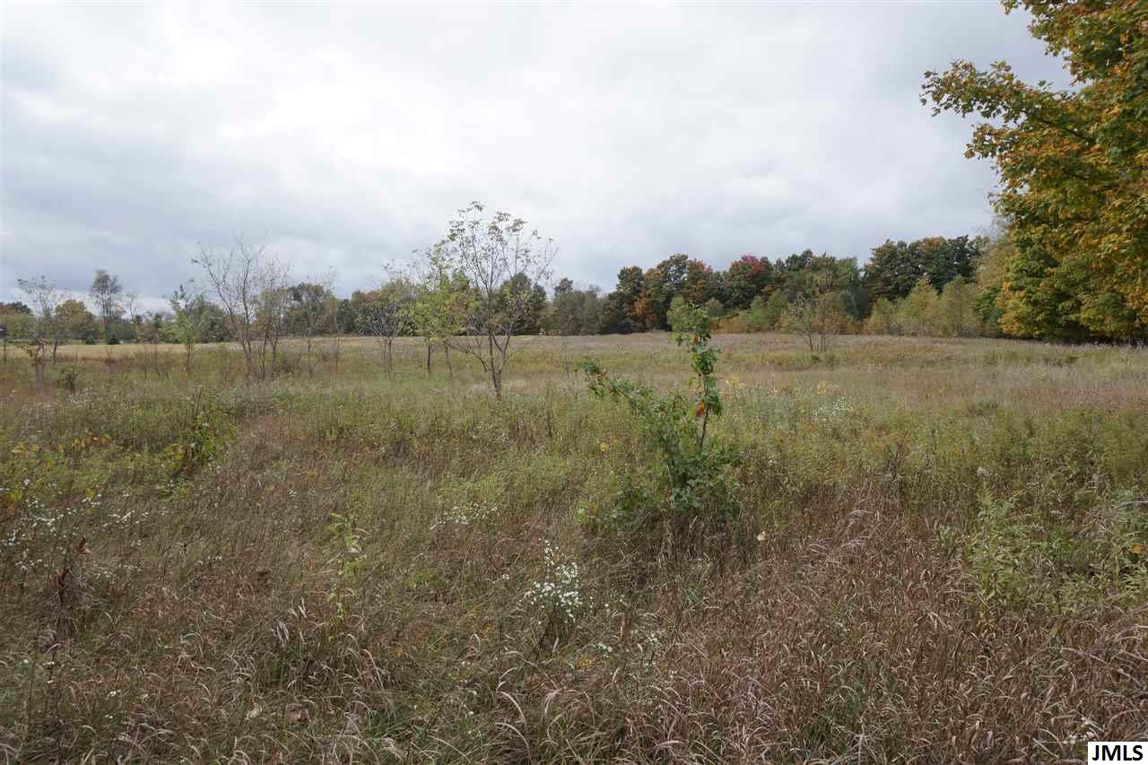 Gale Road Eaton Rapids, MI 48827 - Photo 2 of 3 Photo 2