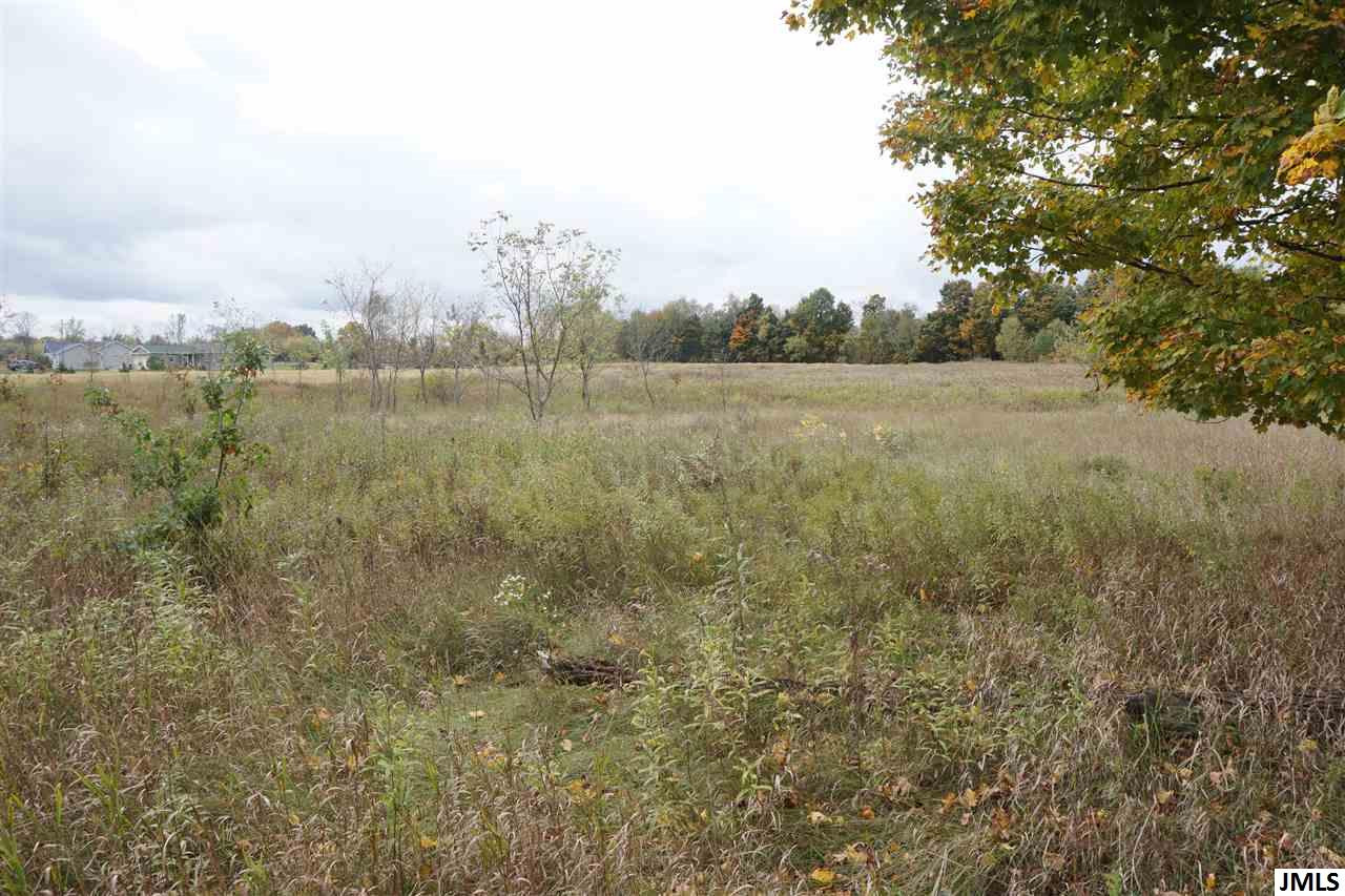 Gale Road Eaton Rapids, MI 48827 - Photo 3 of 3 Photo 3