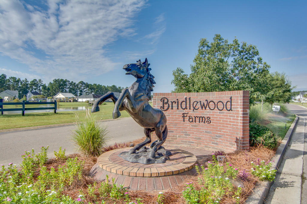 3041 Gulfstream Lane Ridgeville, SC 29472 - Photo 37 of 47 cs1708104-1001