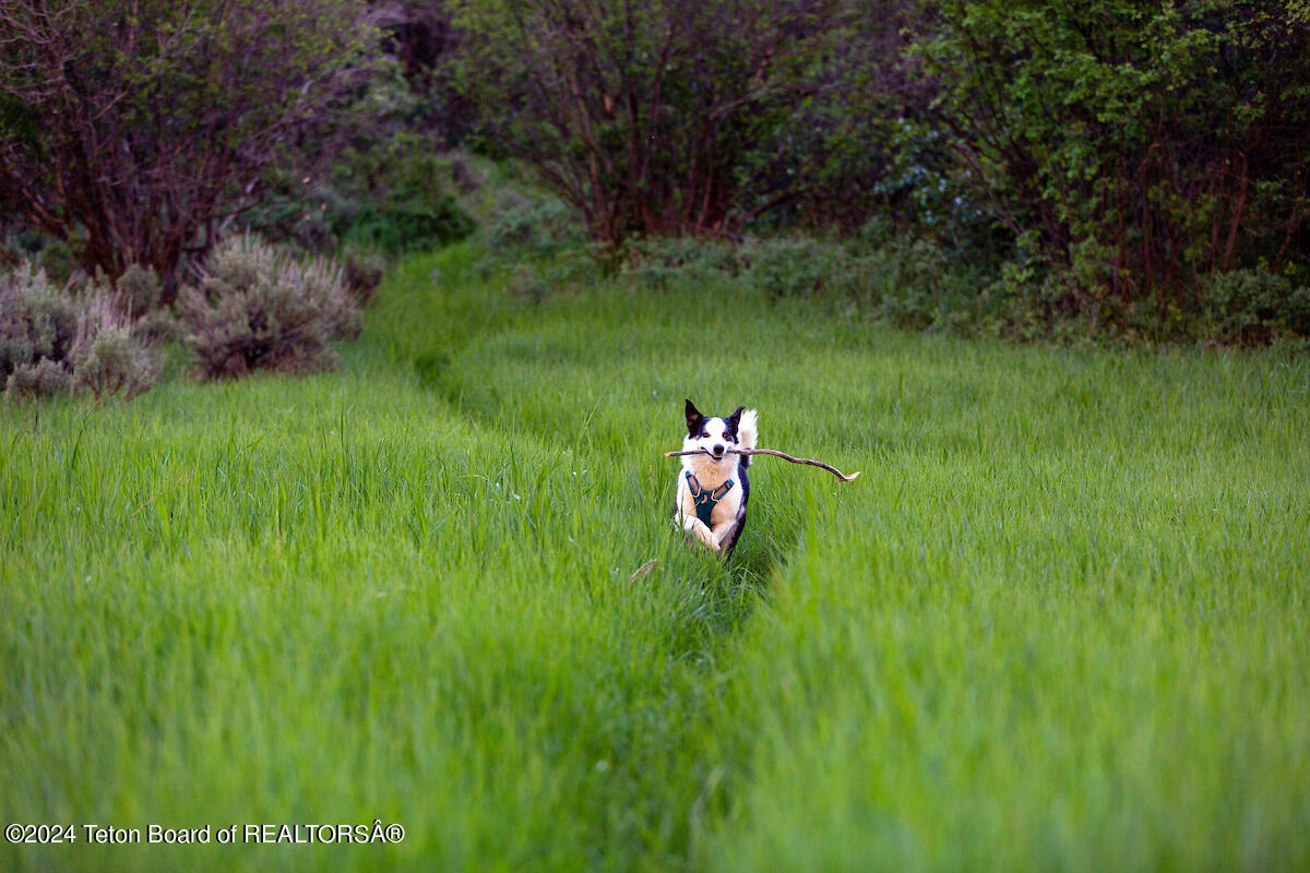 Lot 3 Hillside Drive Victor, ID 83455 - Photo 28 of 28 230609_lucy_0012_