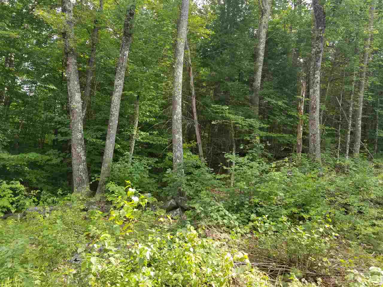 0 Waukewan Road New Hampton, NH 03256 - Photo 3 of 11