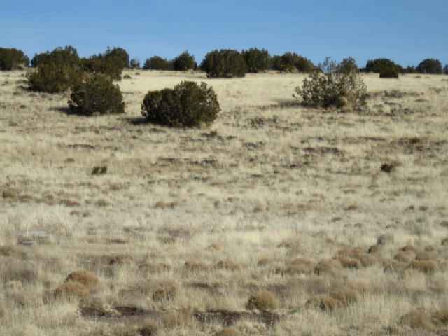 29 Cedar Gulch Ranch Concho, AZ 85924 - Photo 2 of 4