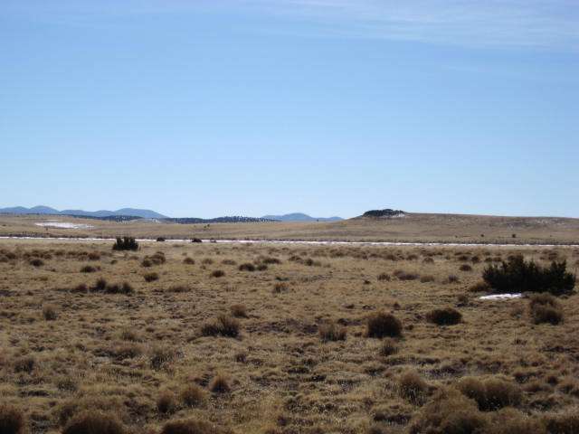 29 Cedar Gulch Ranch Concho, AZ 85924 - Photo 4 of 4