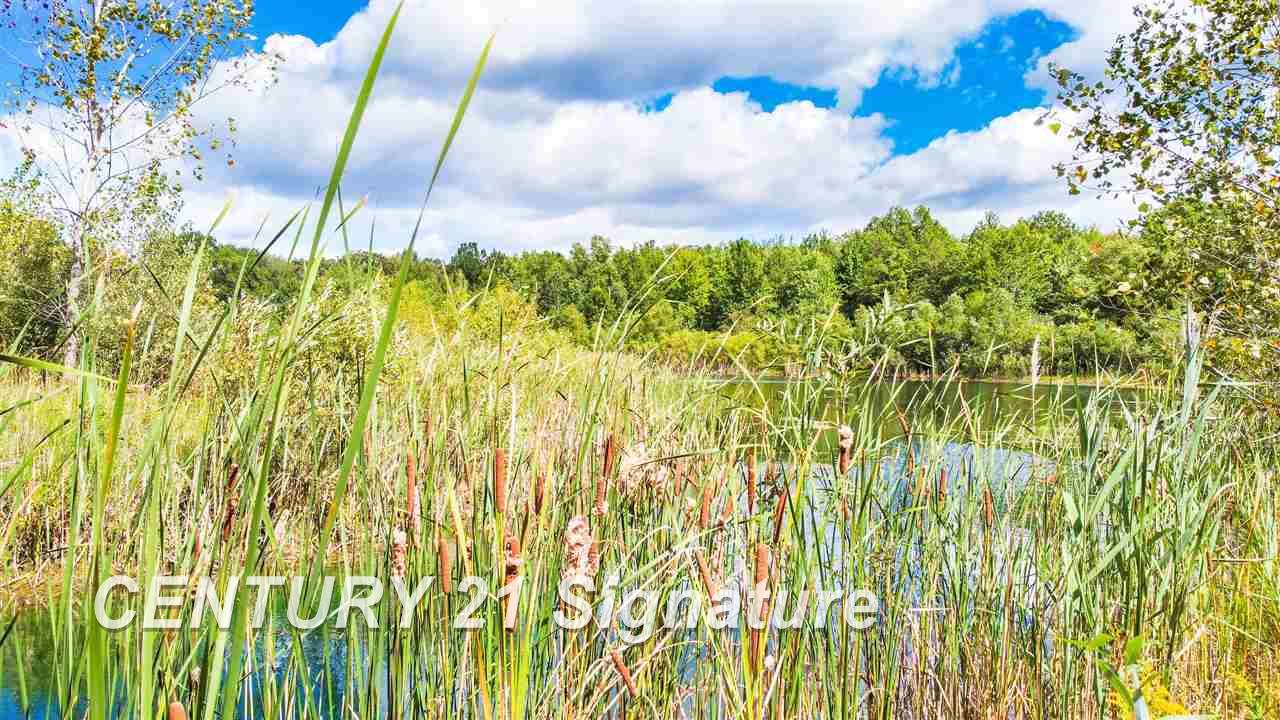 16600 Ederer Road Hemlock, MI 48626 - Photo 2 of 25
