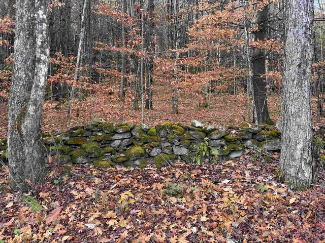 $160,000 | 0 East Putney Brook Road, Unit 2, Putney, VT 05346