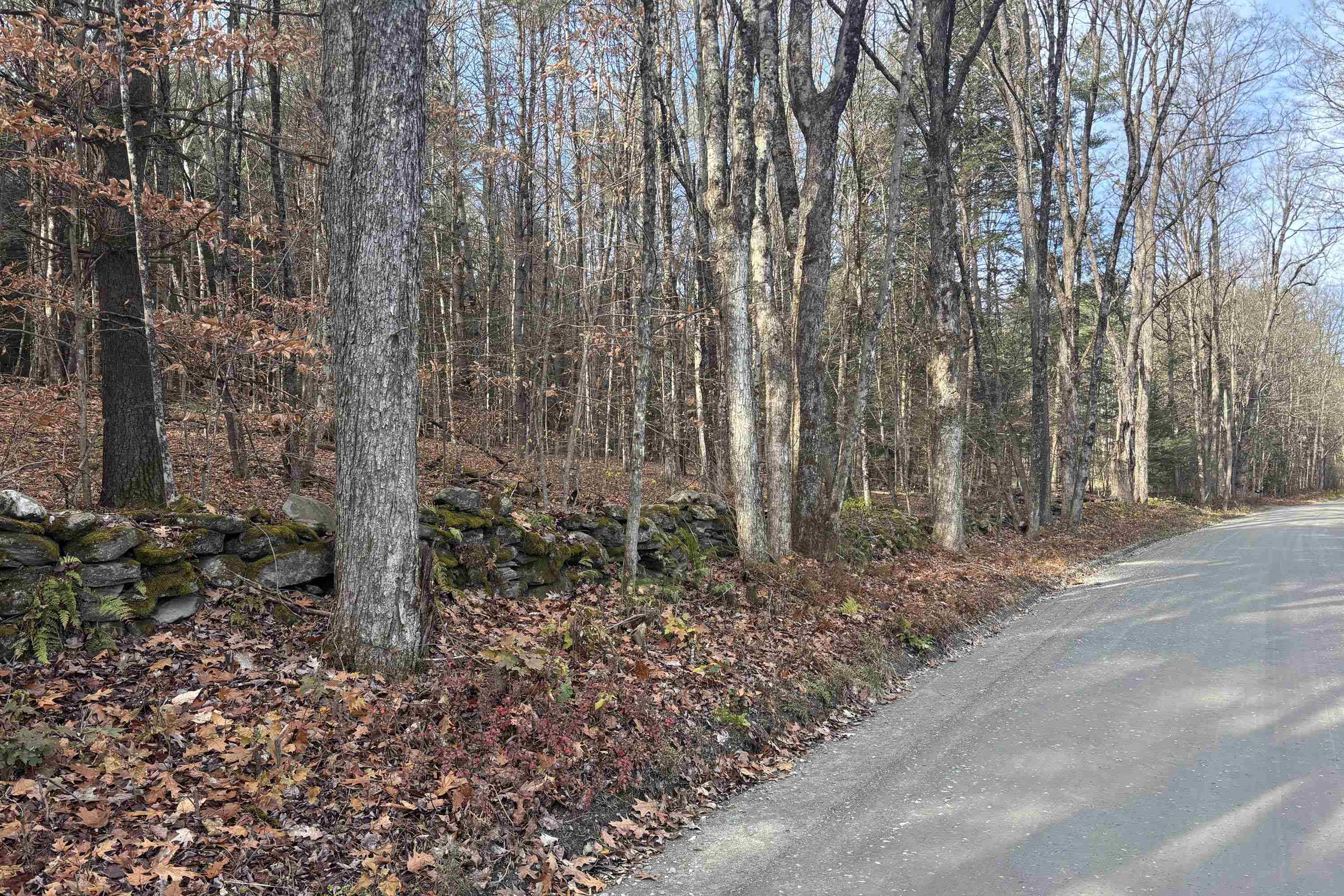 0 East Putney Brook Road, Unit 2 Putney, VT 05346 - Photo 3 of 4