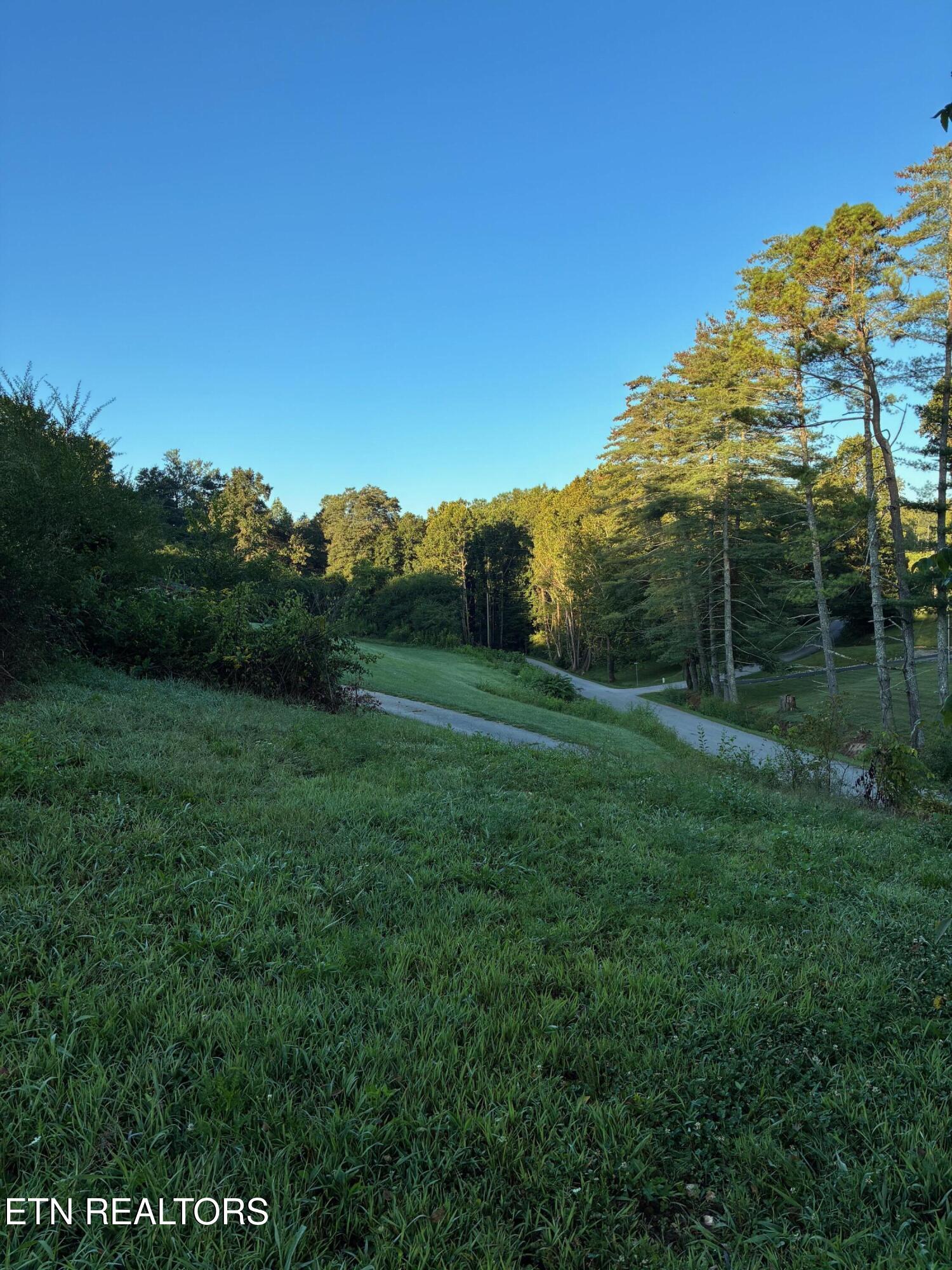 519 Whitman Hollow Road La Follette, TN 37766 - Photo 18 of 18 Backyard View