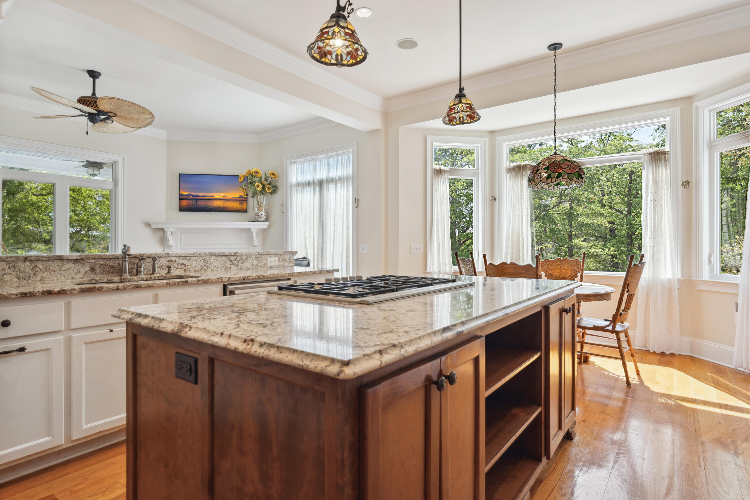 4386 Park Island Road Hollywood, SC 29449 - Photo 41 of 74 P1057721