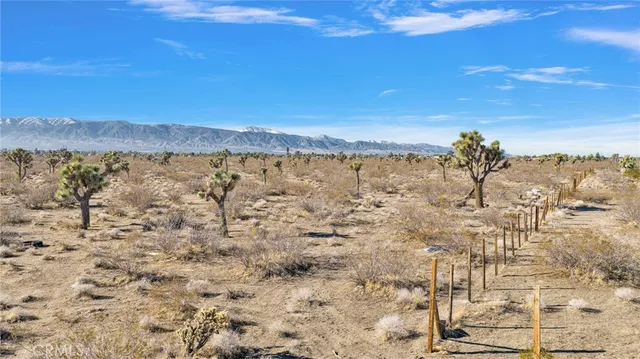 a picture of a bathroom with a shower curtain