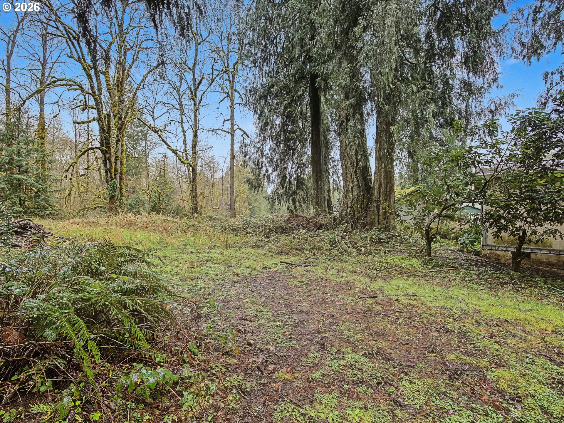 41180 Southeast Kubitz Road Sandy, OR 97055 - Photo 30 of 35 a view of backyard with green space