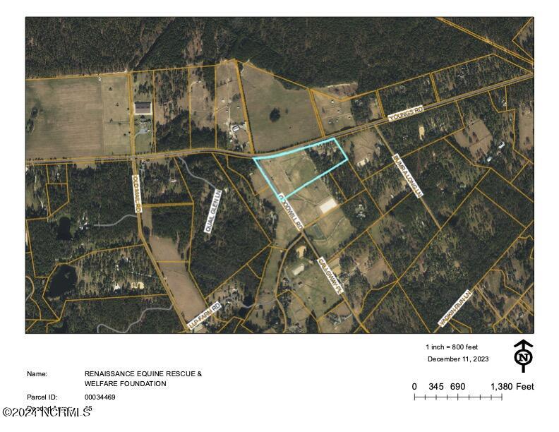 2753 Youngs Road Southern Pines, NC 28387 - Photo 38 of 39 2753 Youngs Rd Aerial (1)