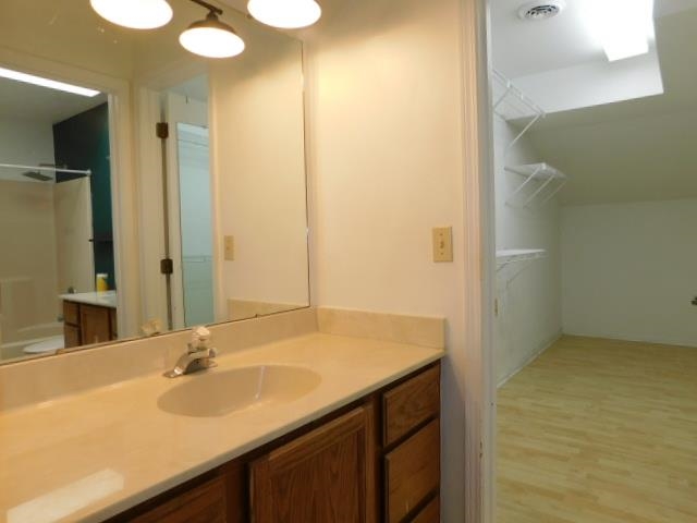 524 Triton Avenue Rockford, IL 61107 - Photo 17 of 18 a bathroom with a sink and a mirror