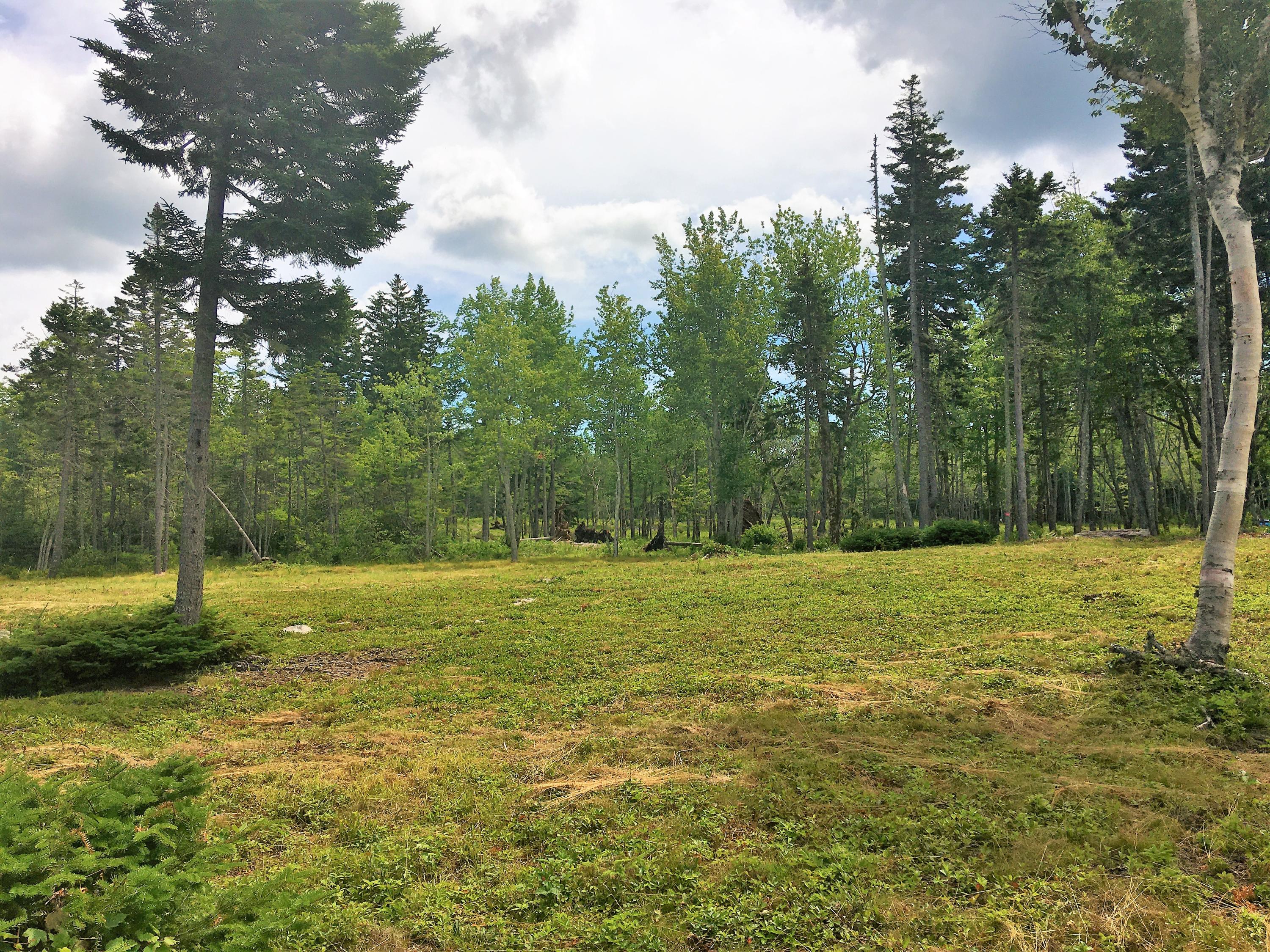 66 Estates Road Steuben, ME 04680 - Photo 20 of 21 IMG_4942