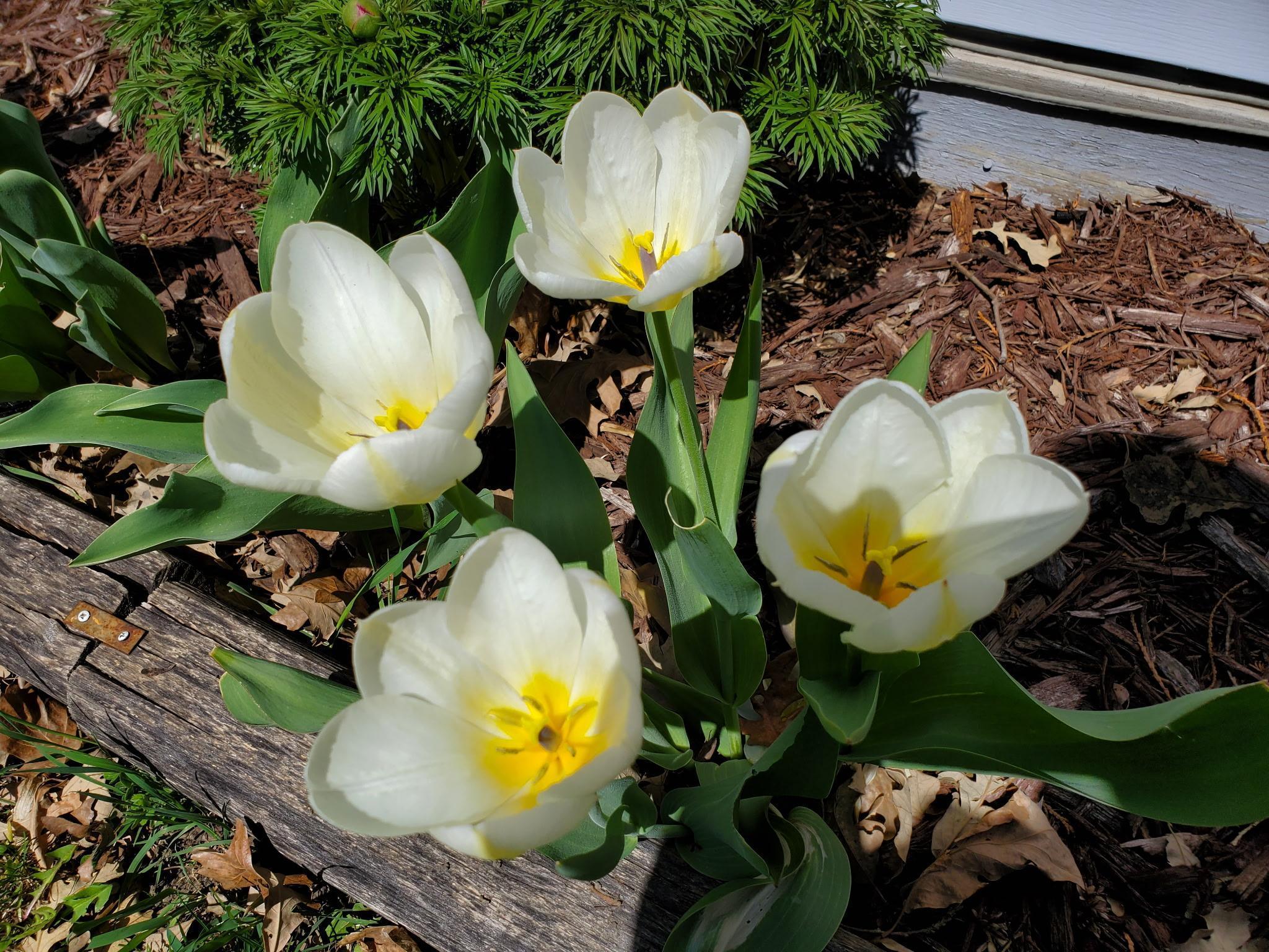 517 Springen Avenue Fergus Falls, MN 56537 - Photo 51 of 58