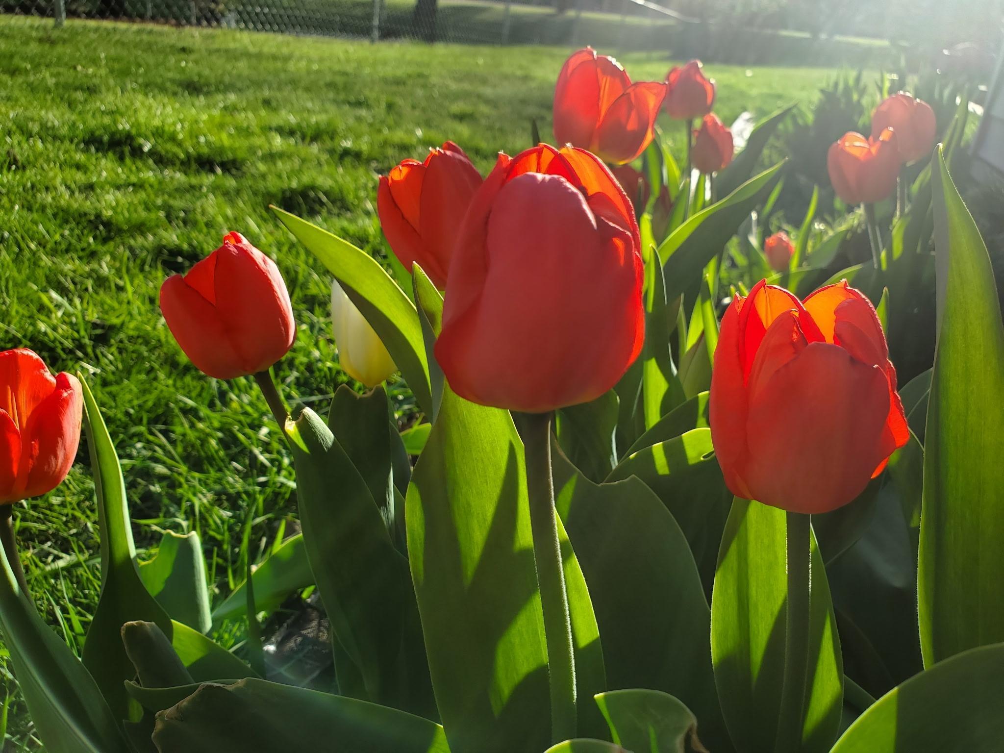 517 Springen Avenue Fergus Falls, MN 56537 - Photo 53 of 58