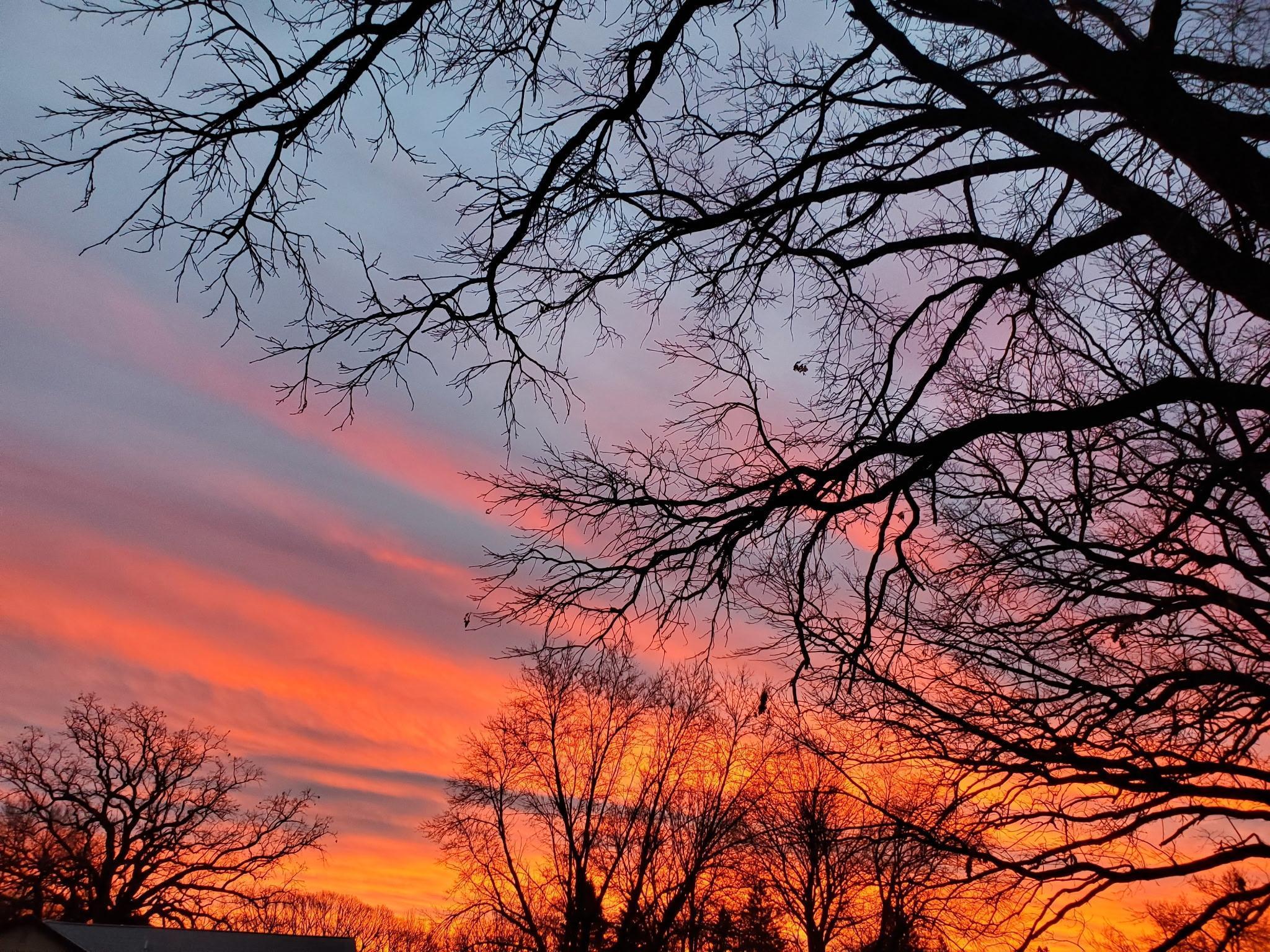 517 Springen Avenue Fergus Falls, MN 56537 - Photo 54 of 58