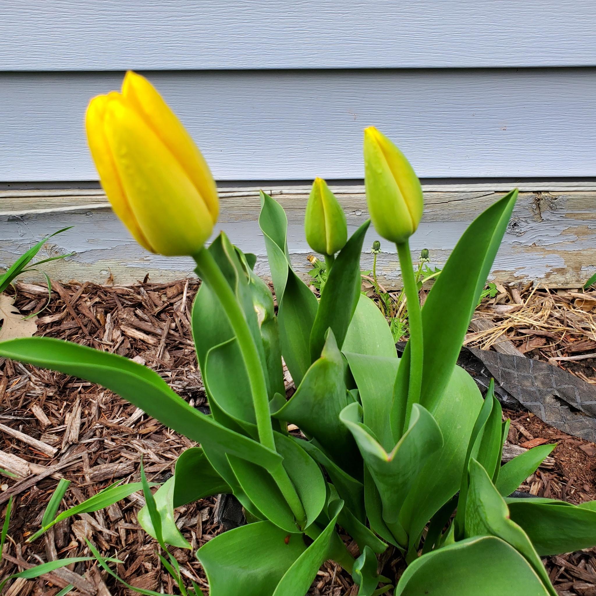517 Springen Avenue Fergus Falls, MN 56537 - Photo 57 of 58