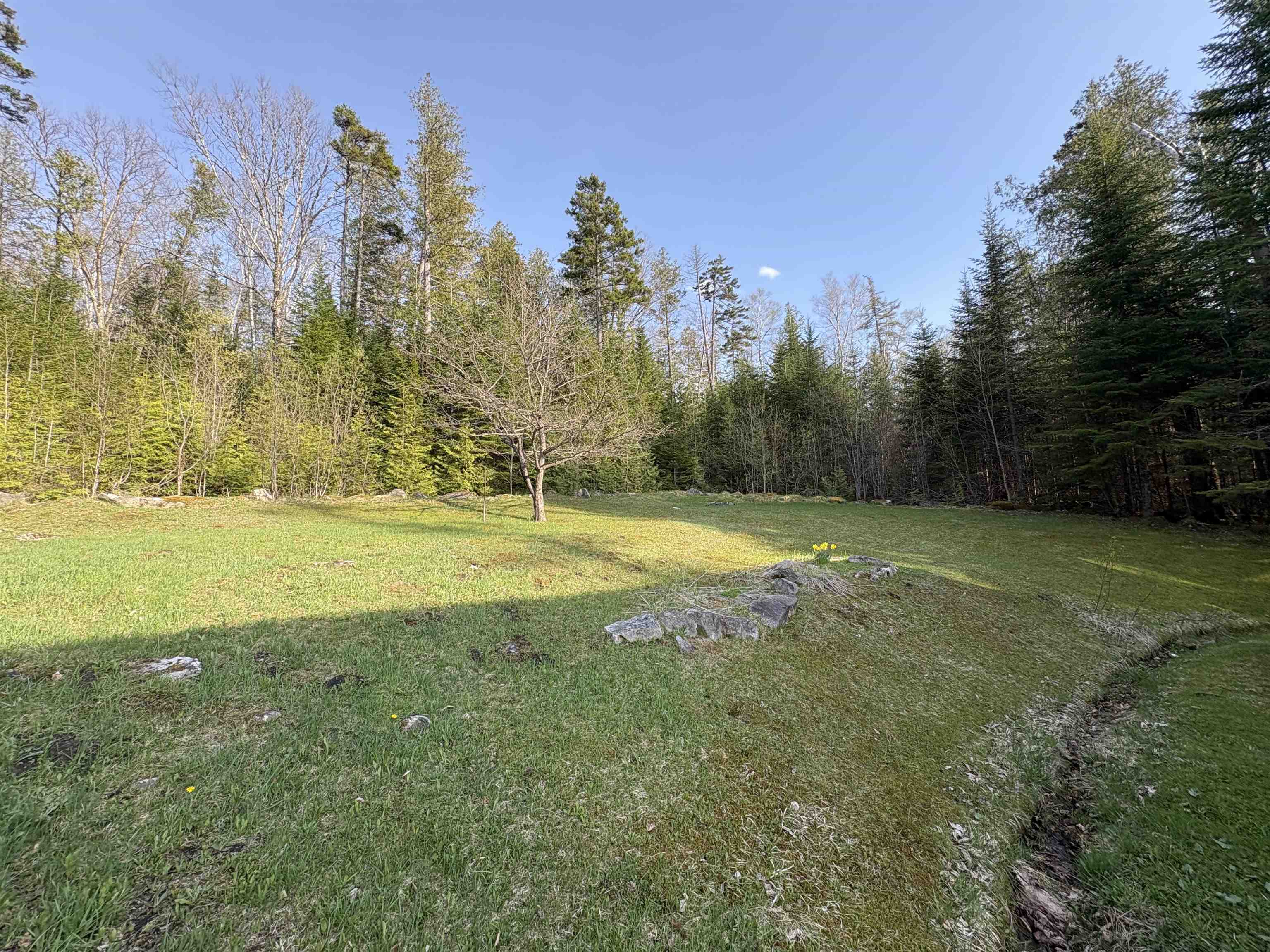 168 Ponemah Path Newark, VT 05871 - Photo 42 of 43