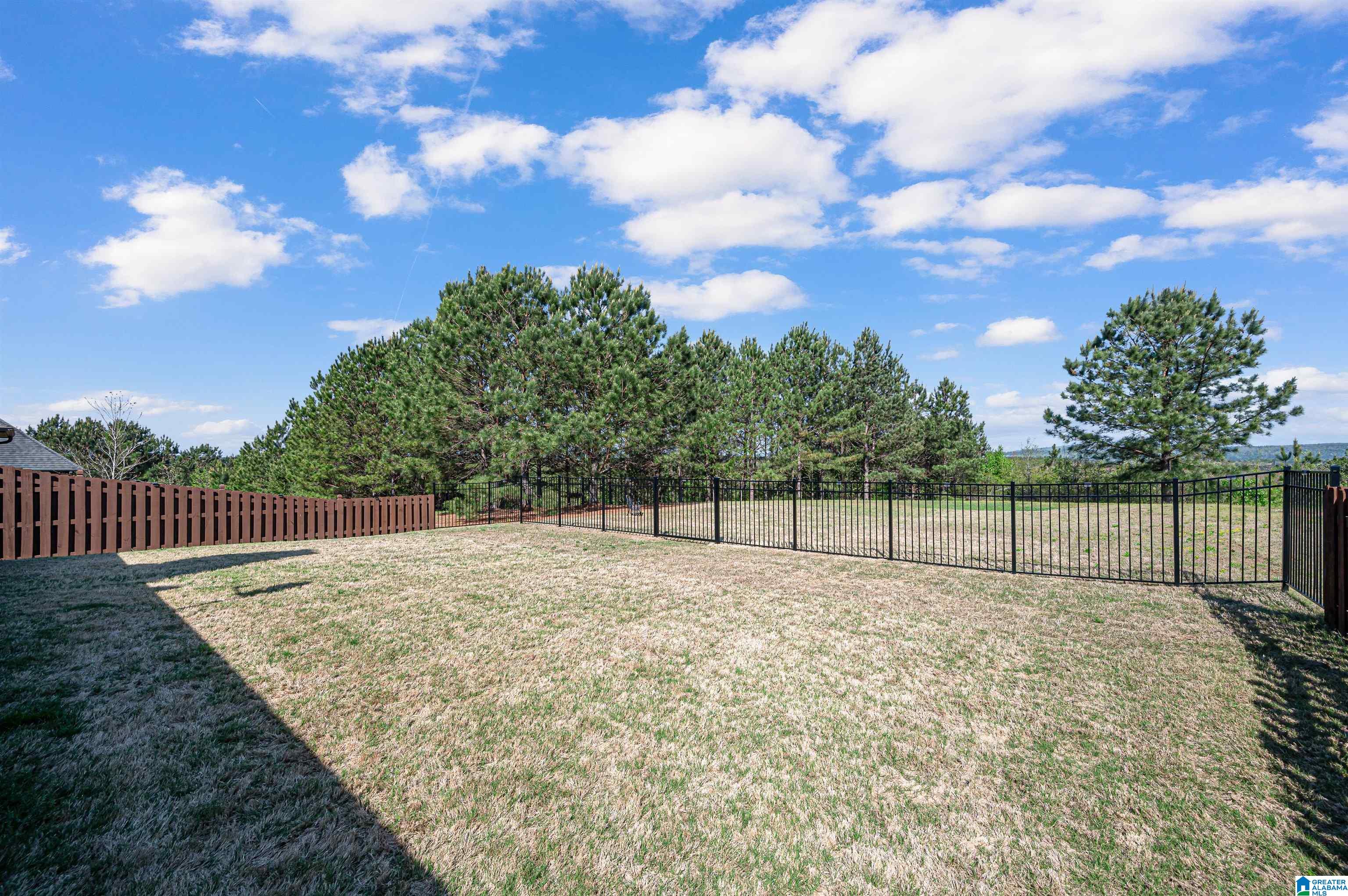 3029 Chelsea Park Ridge Chelsea, AL 35043 - Photo 45 of 47