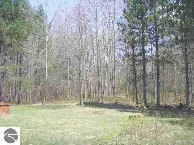 8104 East 8 Mile Road Luther, MI 49656 - Photo 8 of 8 1691852-7.JPG