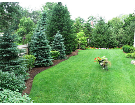 49 Woodland Road Brookline, MA 02467 - Photo 8 of 8 a view of yard with green space