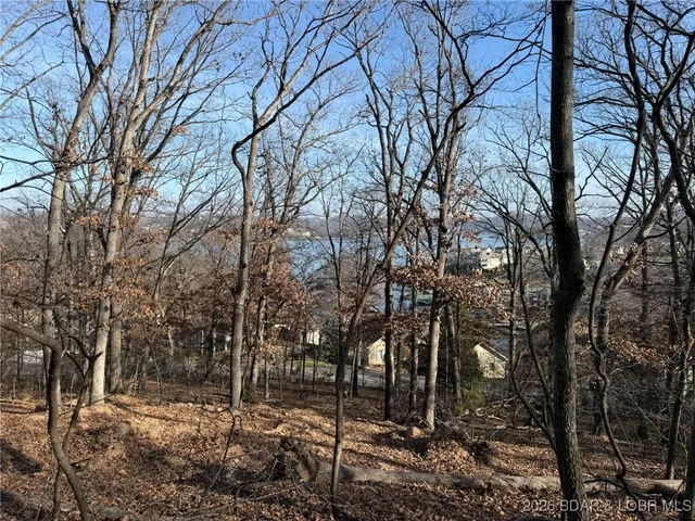 $25,000 | 1401 Via Del Lago Drive, Sunrise Beach, MO 65079