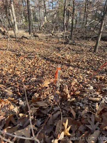 $25,000 | 1401 Via Del Lago Drive, Sunrise Beach, MO 65079