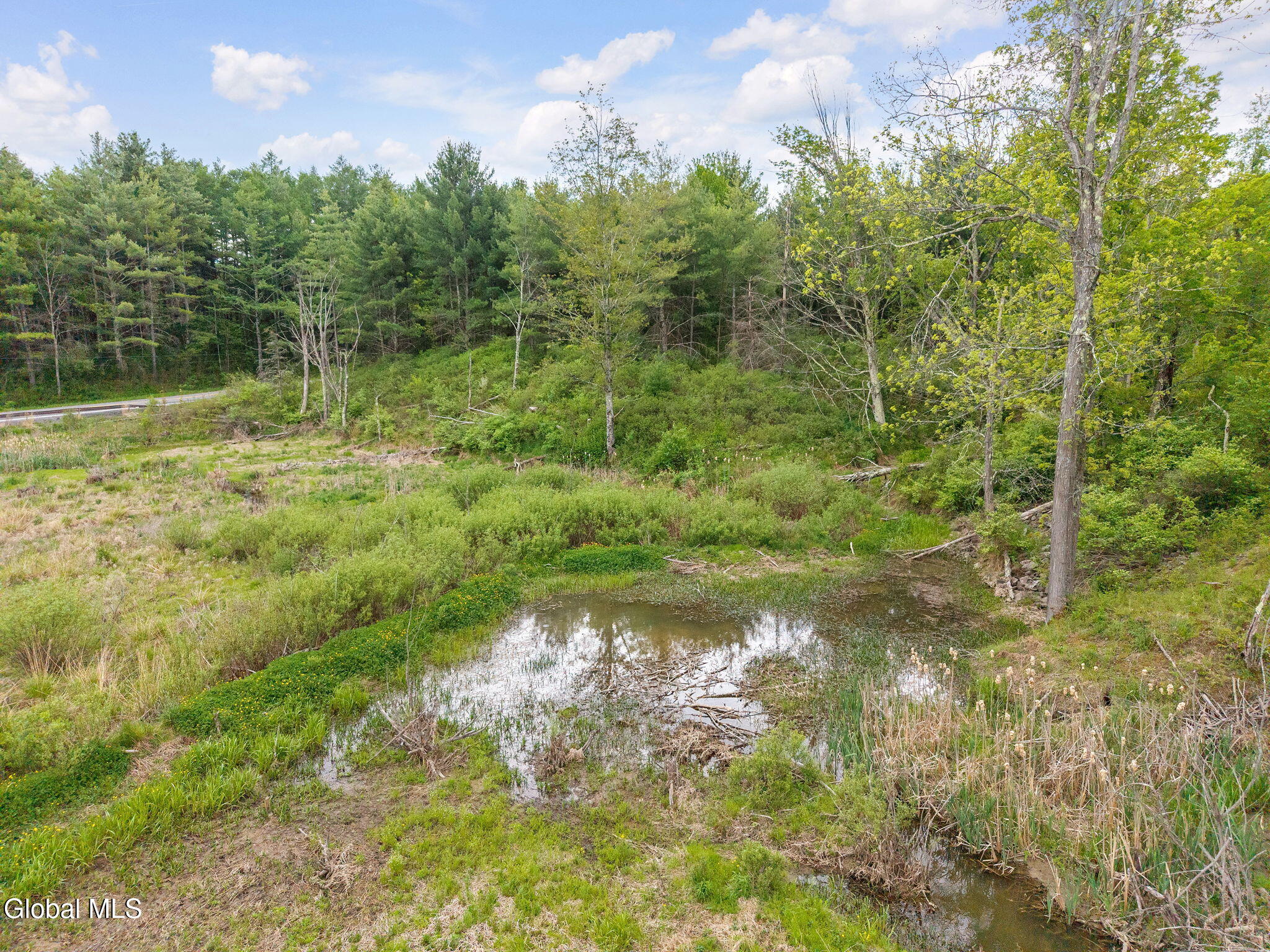 1432 Shew Hollow Road Gilboa, NY 12076 - Photo 44 of 55 49-1432ShewHollowRd_49