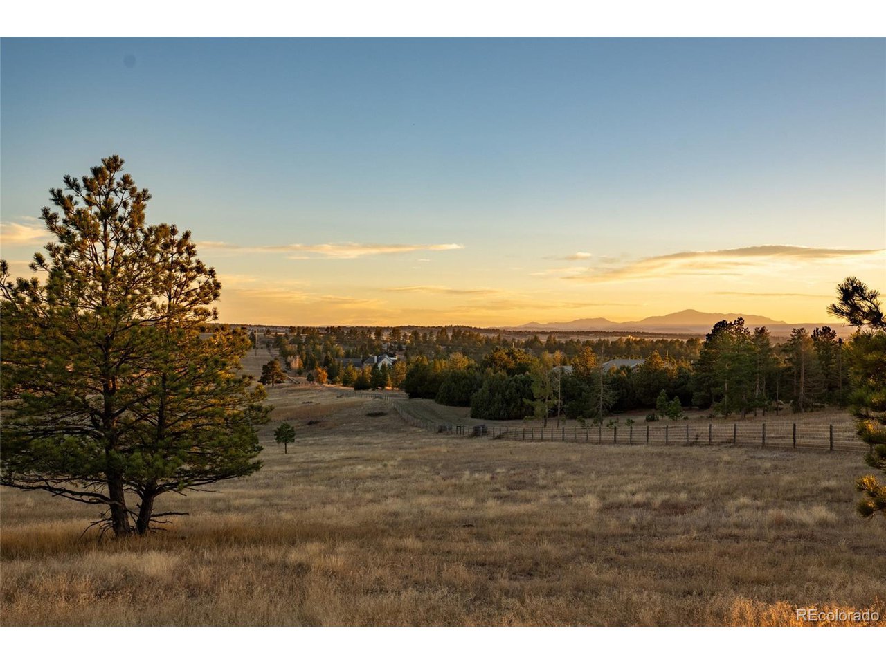 Woodhaven Ridge Road Parker, CO 80134 - Photo 11 of 36 a view of a dry yard with trees