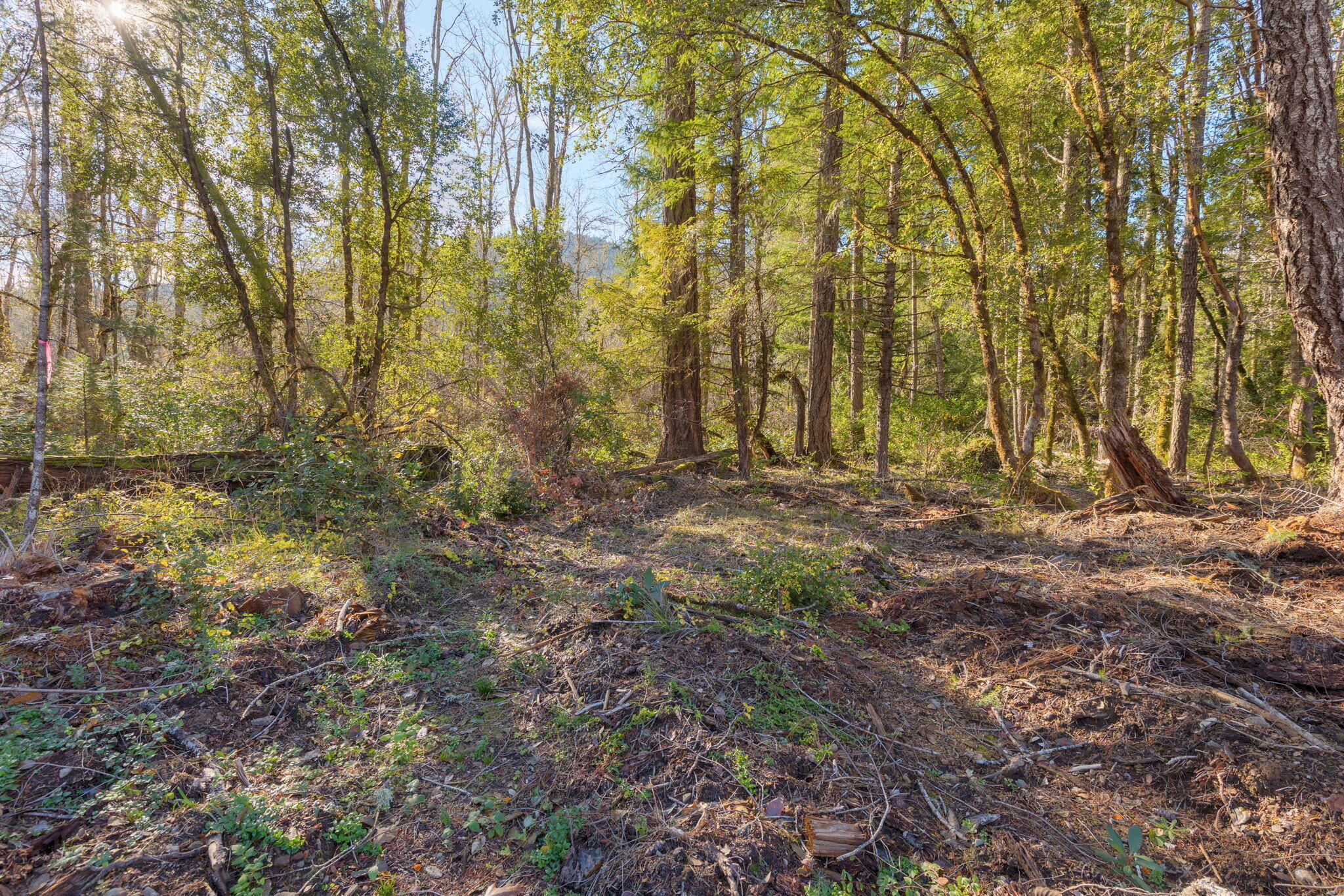 101 3 Mill Road Selma, OR 97538 - Photo 20 of 39 23-web-or-mls-101-3-mill-rd