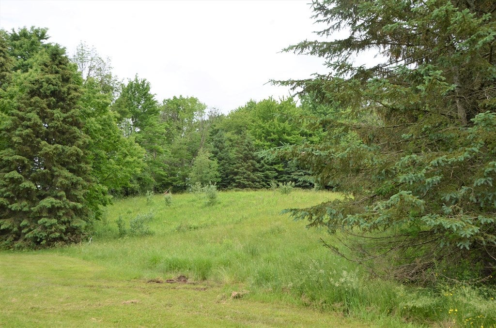 985 Bow Bridge Road Little Meadows, PA 18830 - Photo 36 of 53 Gallery Image 36