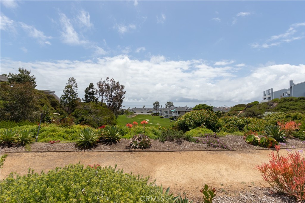 24601 B Harbor View Drive Dana Point, CA 92629 - Photo 35 of 36 a view of a pathway both side of grassy field with shrub