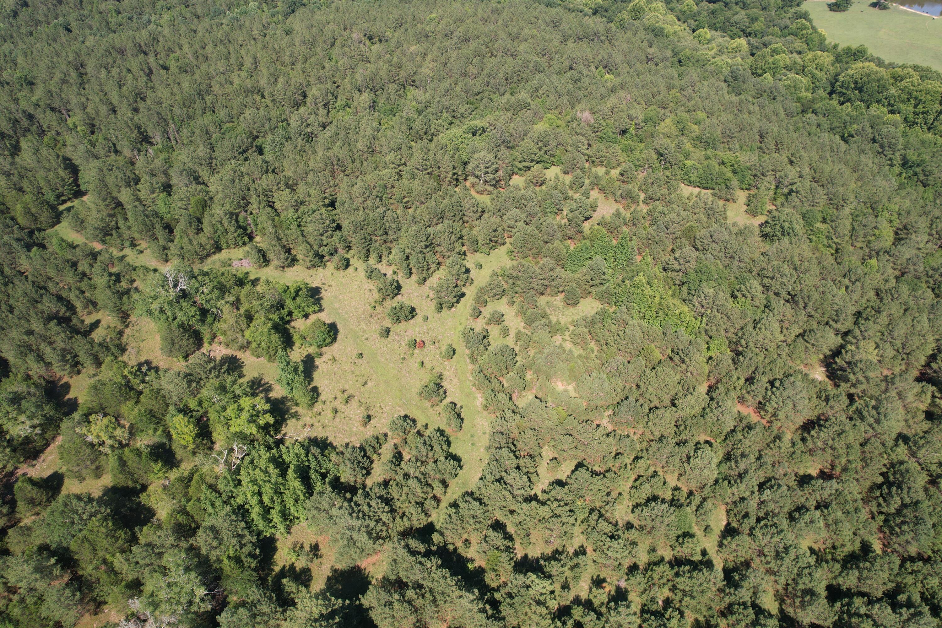 0 Metasville Road Lincolnton, GA 30817 - Photo 6 of 6 DJI_0190