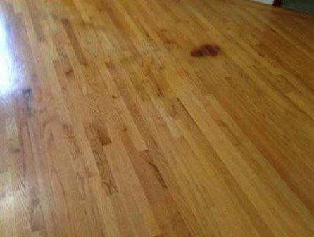 522 Lincoln Extension Road Hyannis, MA 02601 - Photo 5 of 7 Additional Photo