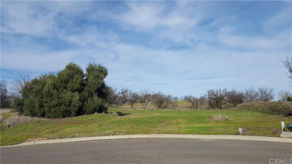 a view of field with grass and trees