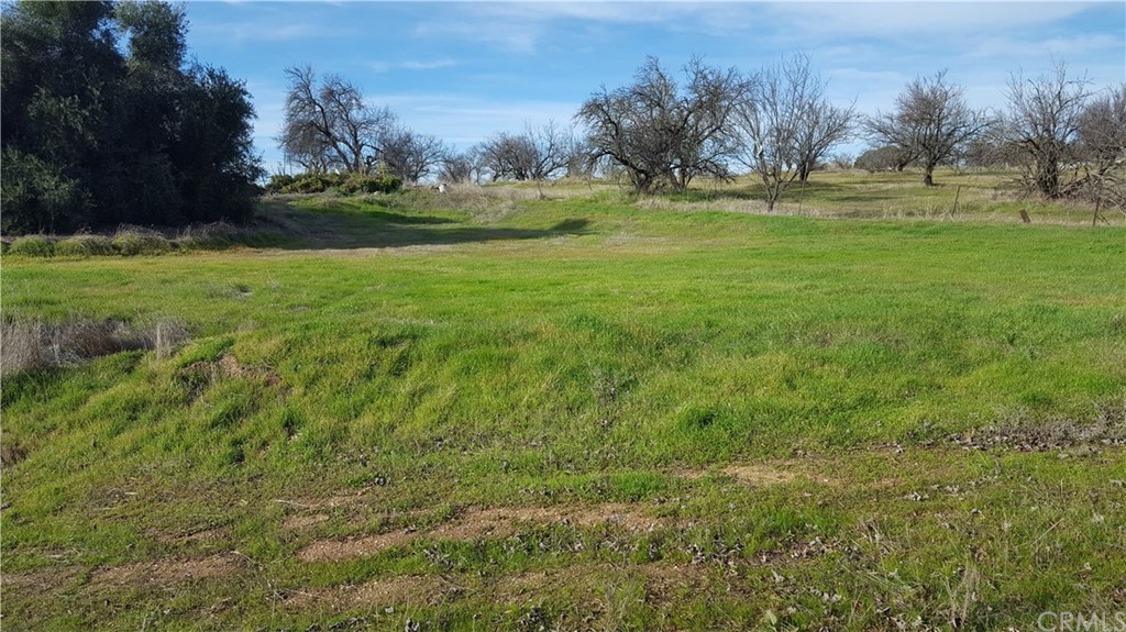 0 Eller Drive Corning, CA 96021 - Photo 2 of 6 a view of field with trees