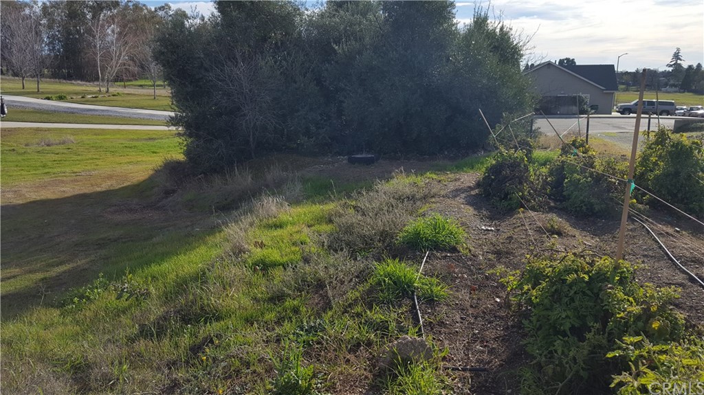 0 Eller Drive Corning, CA 96021 - Photo 4 of 6 a view of a lake with a yard