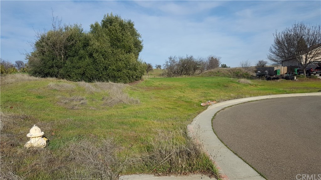 0 Eller Drive Corning, CA 96021 - Photo 6 of 6 a view of a lake with a yard