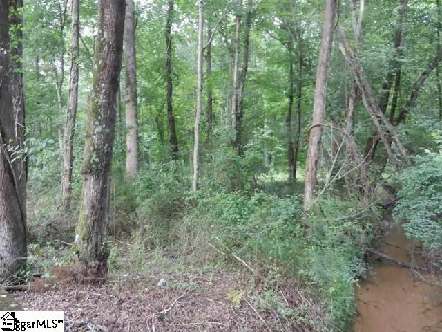 0 Wingo Road Landrum, SC 29356 - Photo 11 of 33 Gallery Image 11