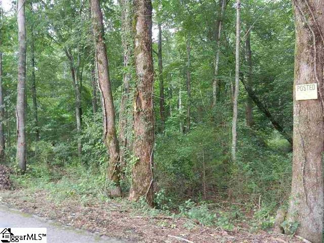 0 Wingo Road Landrum, SC 29356 - Photo 12 of 33 Gallery Image 12