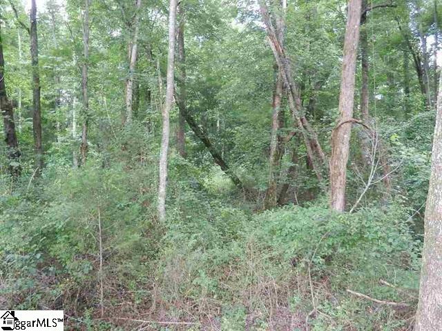 0 Wingo Road Landrum, SC 29356 - Photo 13 of 33 Gallery Image 13