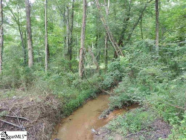 0 Wingo Road Landrum, SC 29356 - Photo 15 of 33 Gallery Image 15