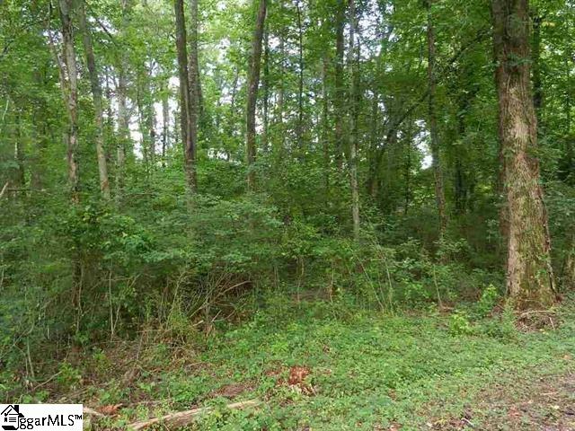 0 Wingo Road Landrum, SC 29356 - Photo 16 of 33 Gallery Image 16