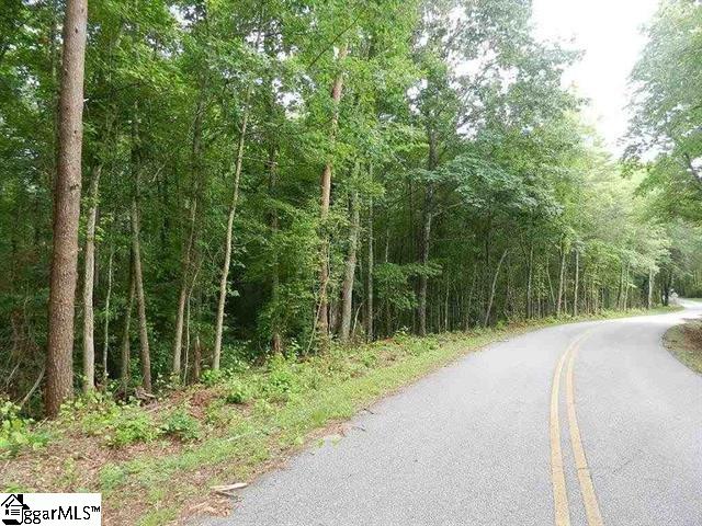 0 Wingo Road Landrum, SC 29356 - Photo 17 of 33 Gallery Image 17