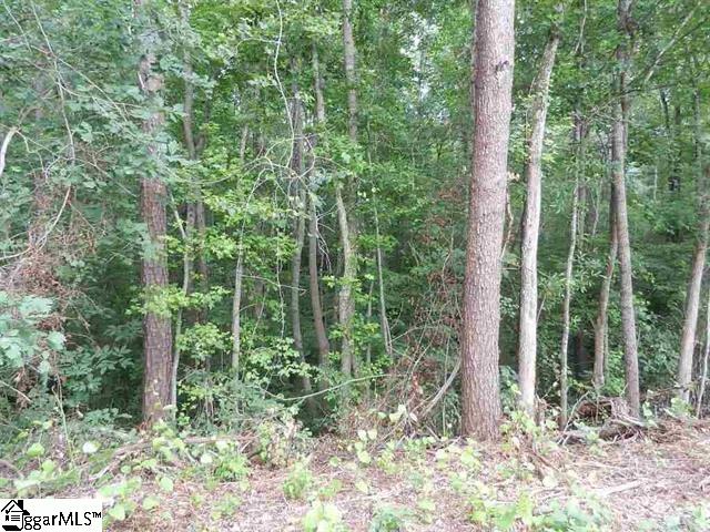 0 Wingo Road Landrum, SC 29356 - Photo 18 of 33 Gallery Image 18
