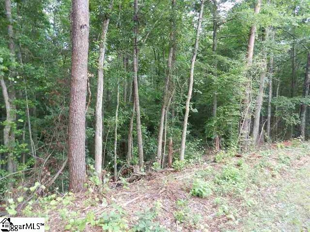0 Wingo Road Landrum, SC 29356 - Photo 19 of 33 Gallery Image 19