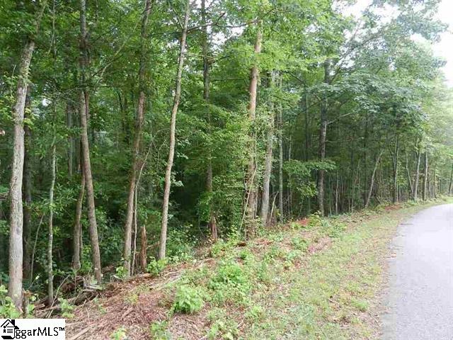 0 Wingo Road Landrum, SC 29356 - Photo 20 of 33 Gallery Image 20