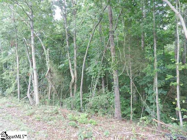 0 Wingo Road Landrum, SC 29356 - Photo 21 of 33 Gallery Image 21
