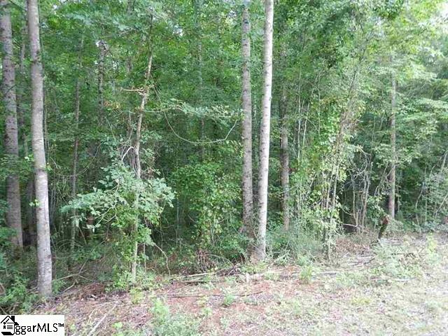 0 Wingo Road Landrum, SC 29356 - Photo 22 of 33 Gallery Image 22